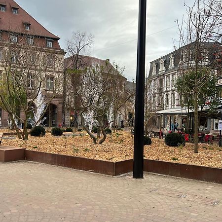 Le Muscat Apartment Colmar Exterior photo